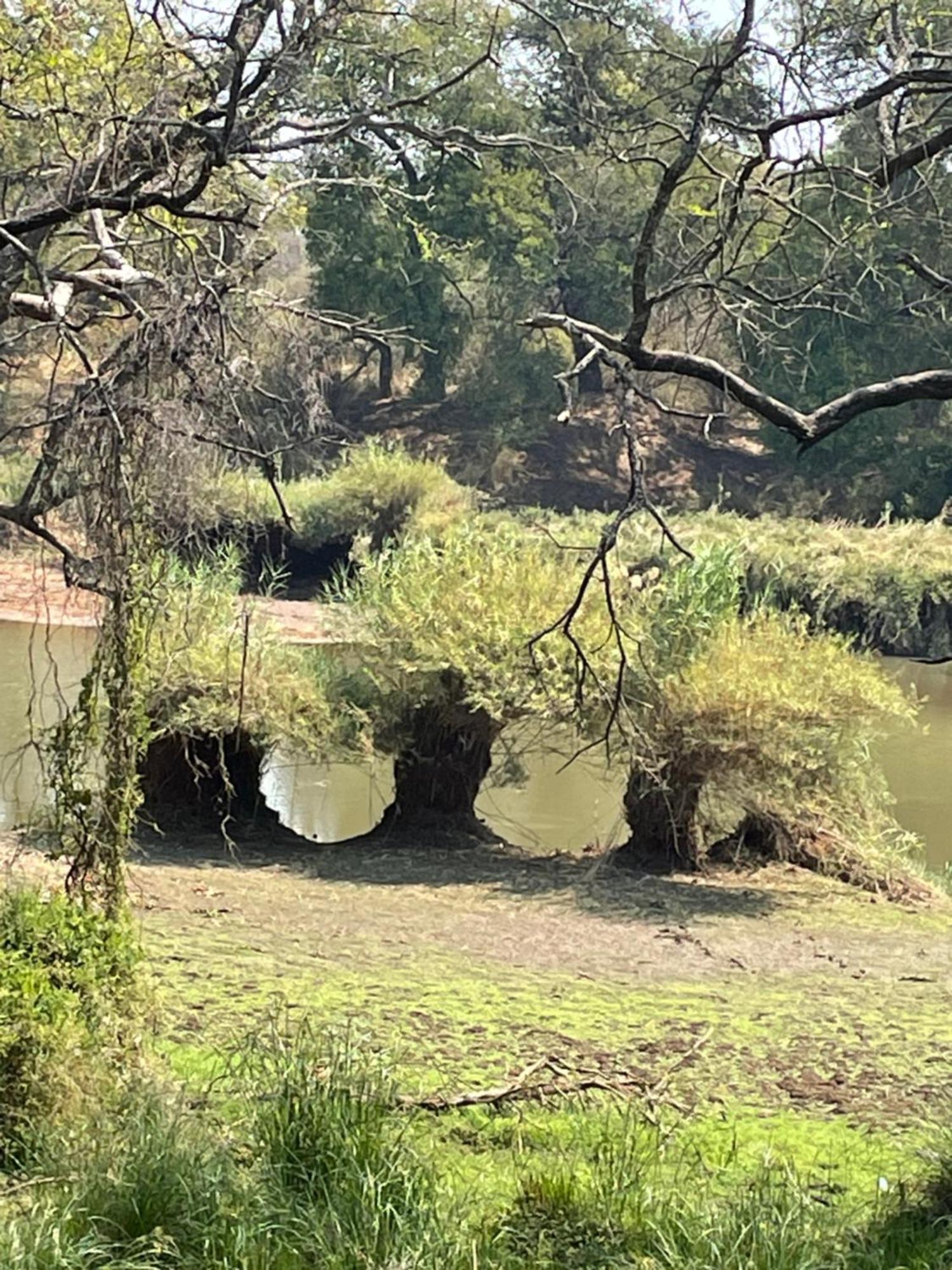 Klippan River Lodge Groblersbrug Exterior foto